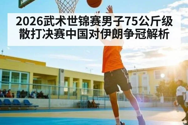 2026武术世锦赛男子75公斤级散打决赛中国对伊朗争冠解析